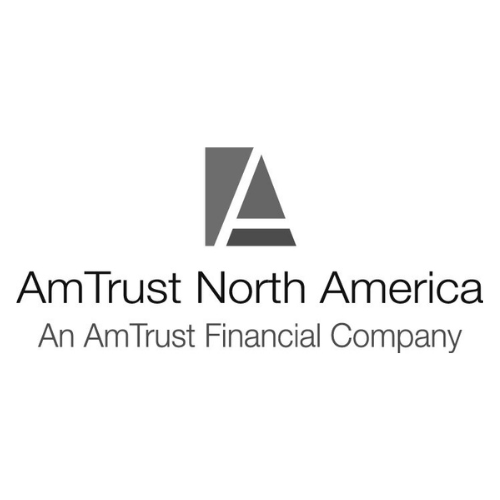 AmTrust Financial